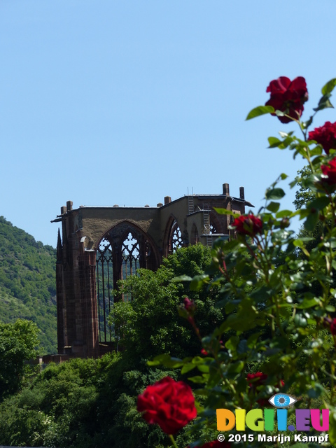 FZ017509 Roses and chapel in Bacharach